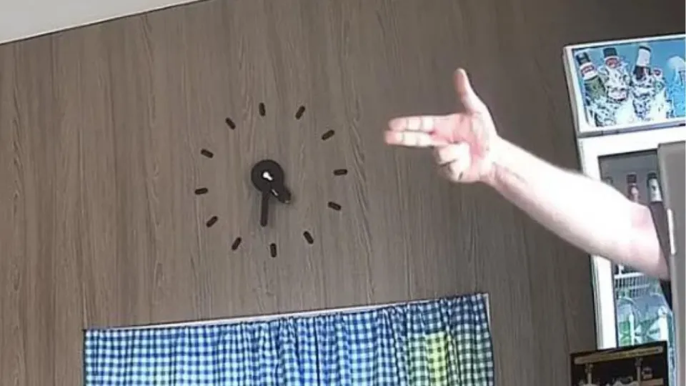 푸켓 호텔, 고양이 동반 거부하자 외국인 남성이 직원 위협