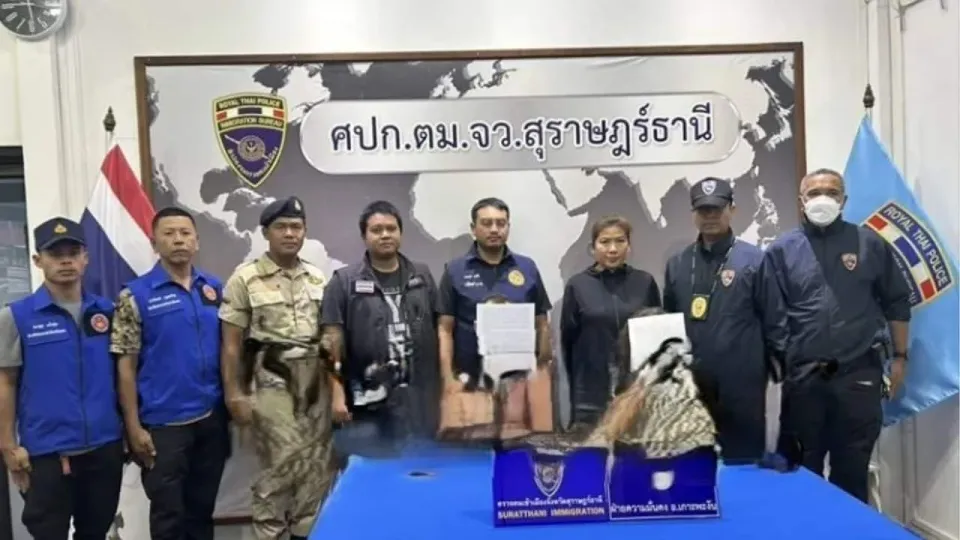 코팡안섬 폭포에서 성관계 외국인 커플, 태국 경찰에 체포