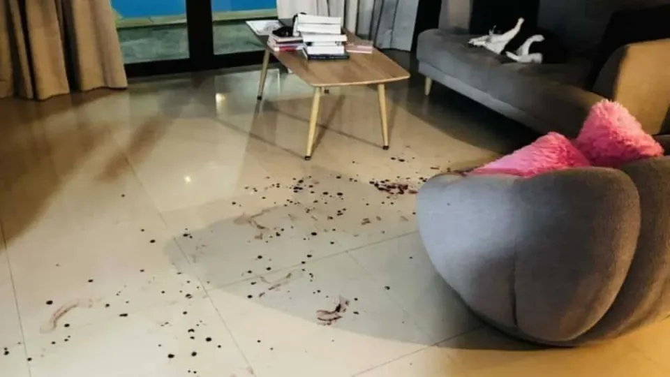 푸켓에서 캐나다인 어머니, 자녀 폭행 혐의로 체포