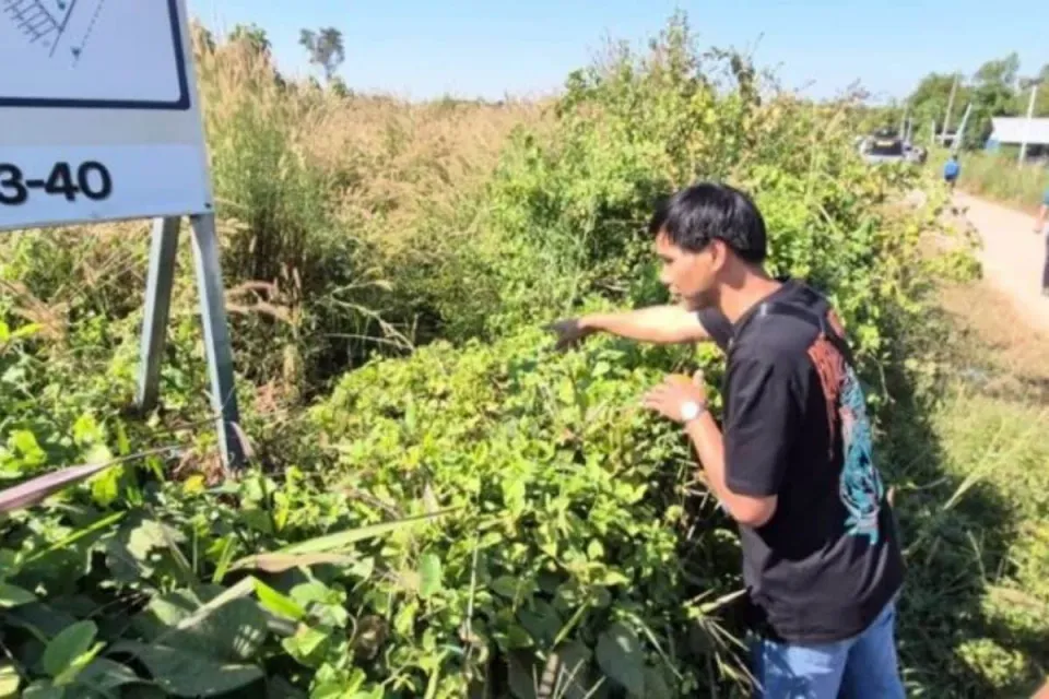 우돈타니 주민들, 의심스러운 개 독살 사건에 충격