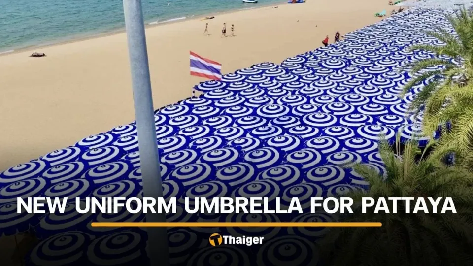 파타야 해변 파라솔 색상 통일, 유럽풍 해안 분위기 연출