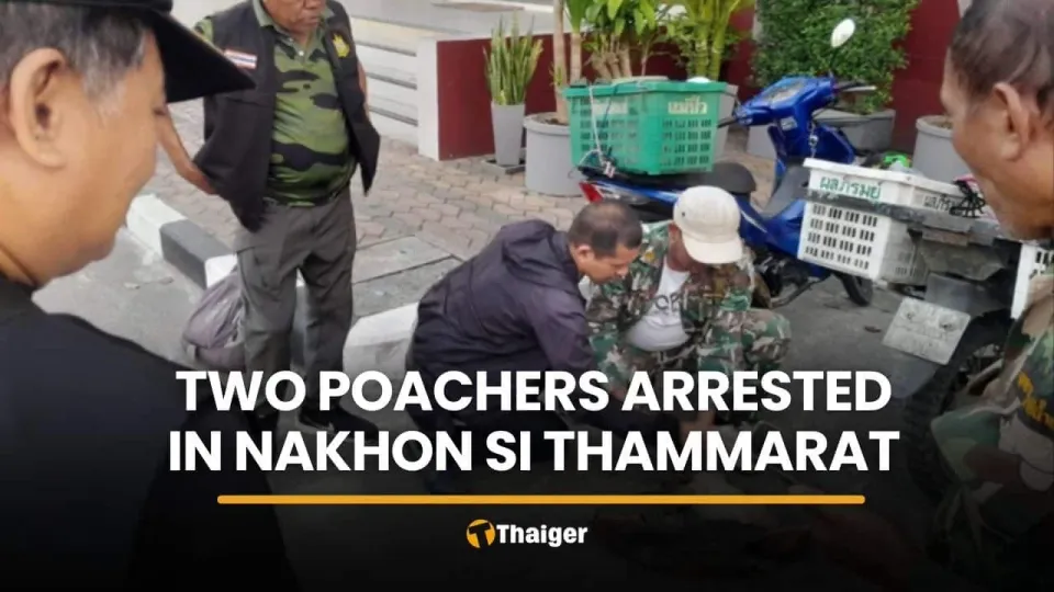 나콘시탐마랏 보호림서 멧돼지 밀렵 2명 검거